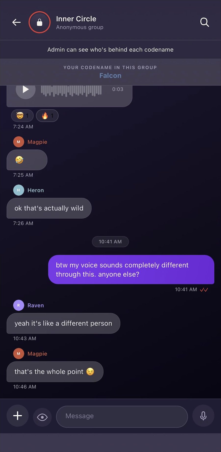 Anonymous group chat showing four members under codenames